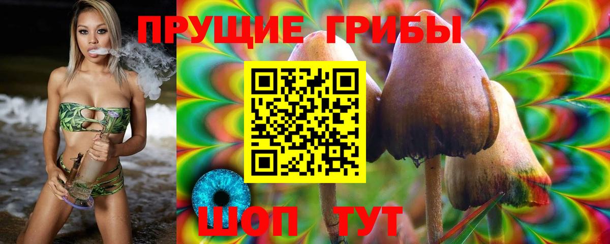 Псилоцибиновые грибы Psilocybine cubensis  Галлюциногенные грибы мухоморы  Троицк  Вход с VPN 